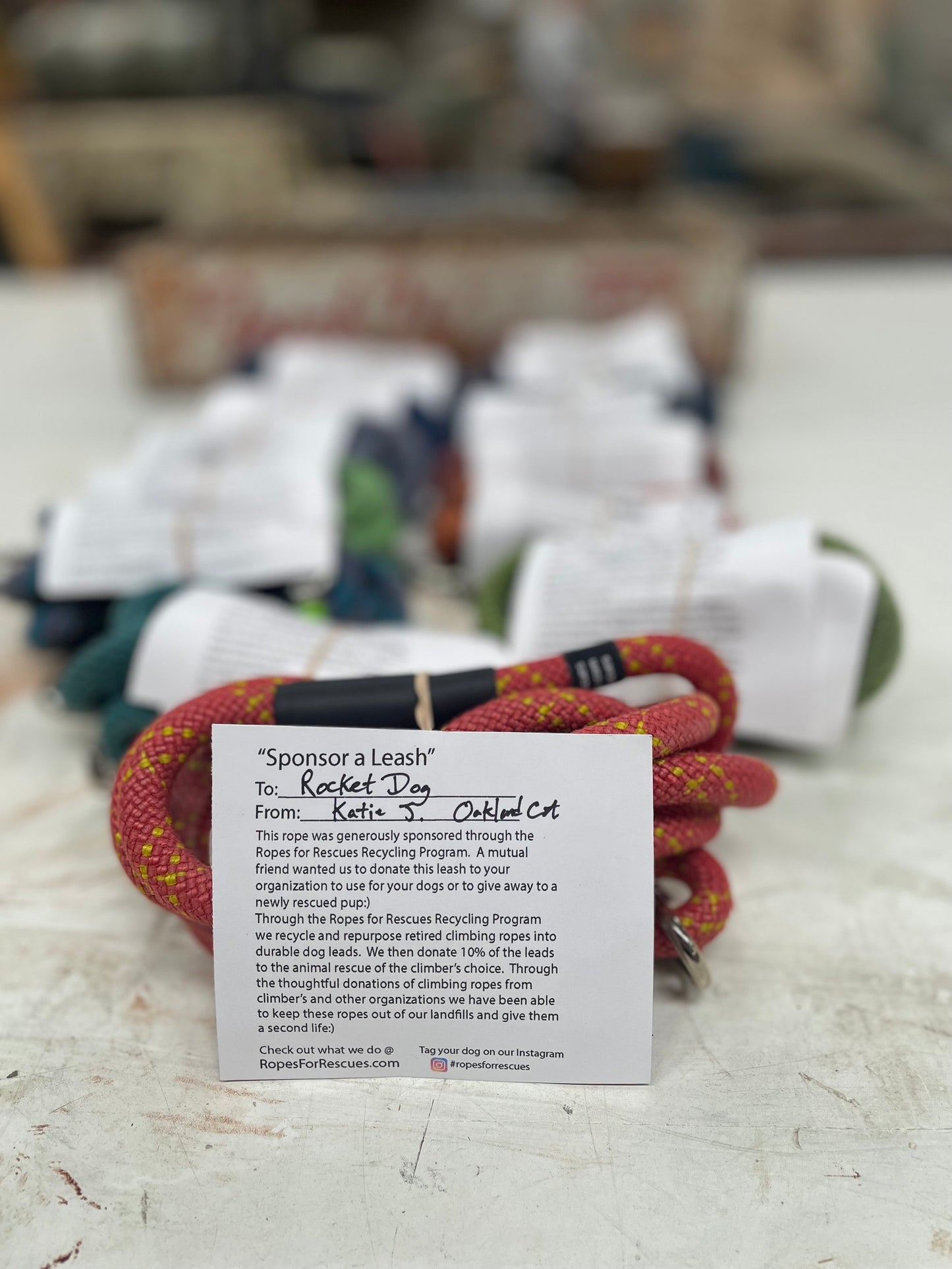 Sponsor a leash for Paws For Life K9 Rescue