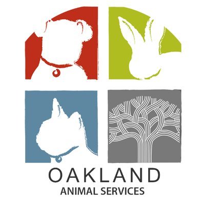 Sponsor a leash for Oakland Animal Services