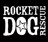 Sponsor a leash for Rocket Dog Rescue