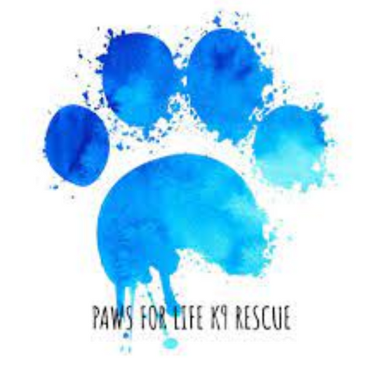 Sponsor a leash for Paws For Life K9 Rescue