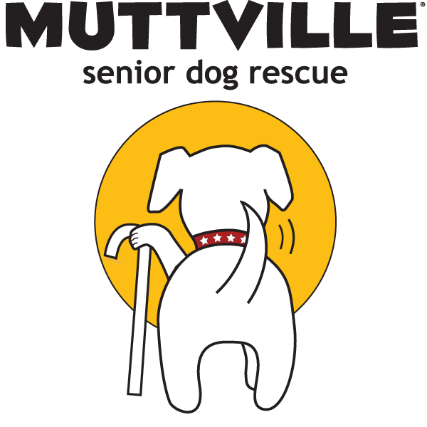 "Hunter" Pawsitive Change Dog Tag