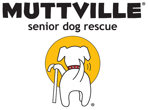 "Bar Dog" Pawsitive Change Dog Tag