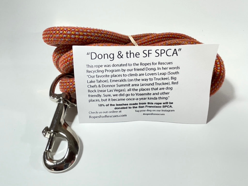 “Dong & the SF SPCA”