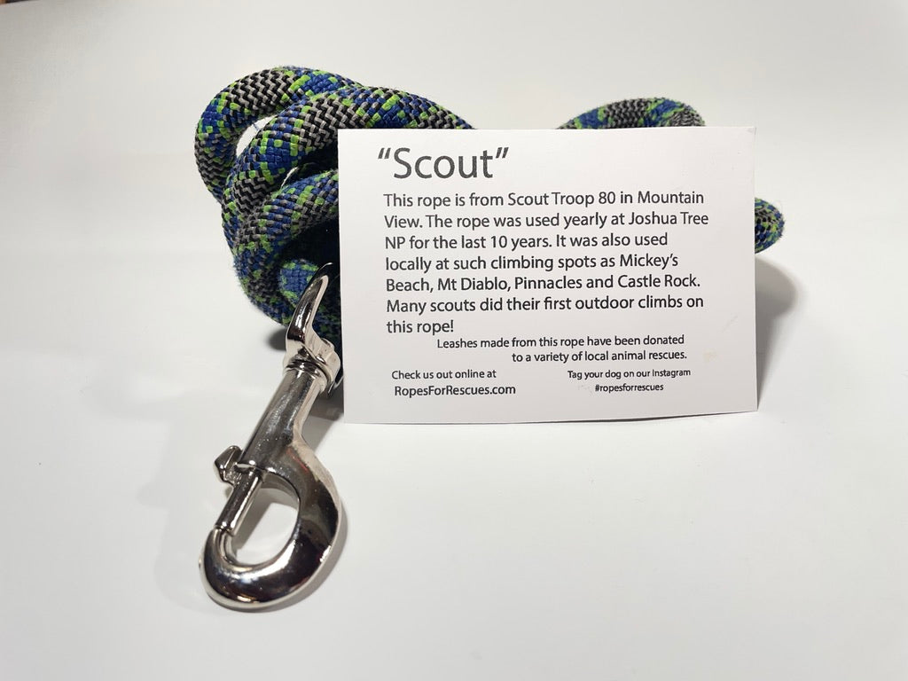 "Scout and 4 Dogs Farm Rescue"