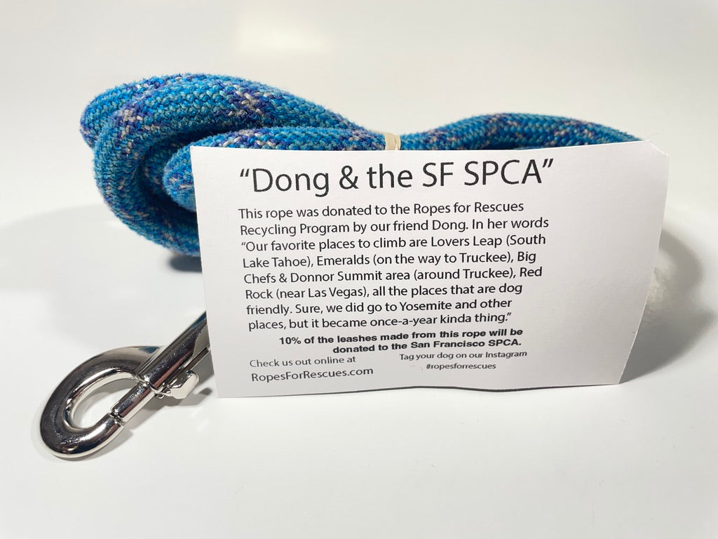 “Dong & the SF SPCA”