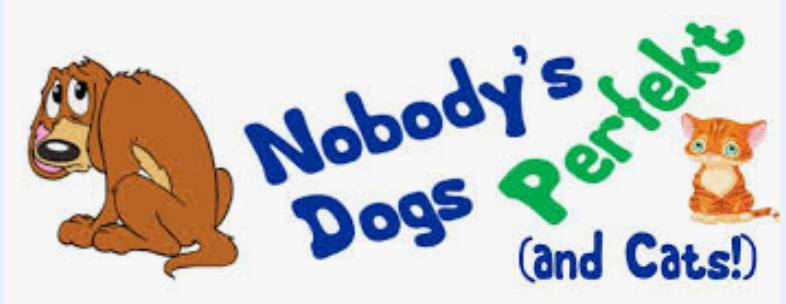 "Suzy & Nobody's Perfekt Dog Rescue"