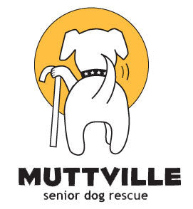 Sponsor a Leash