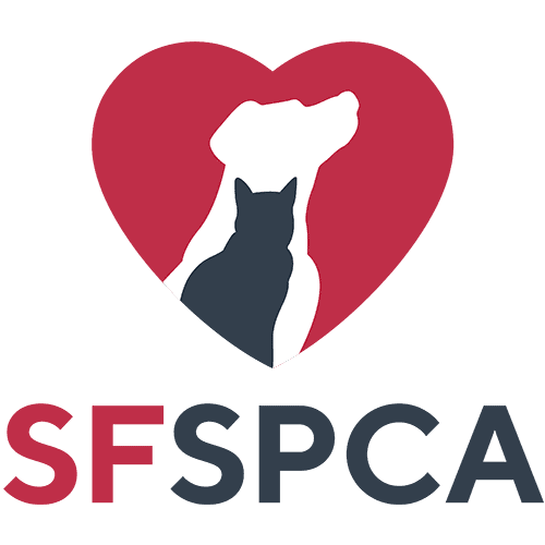 "Steven & SF SPCA"