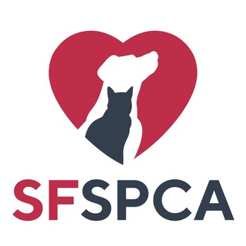 “Dong & the SF SPCA”